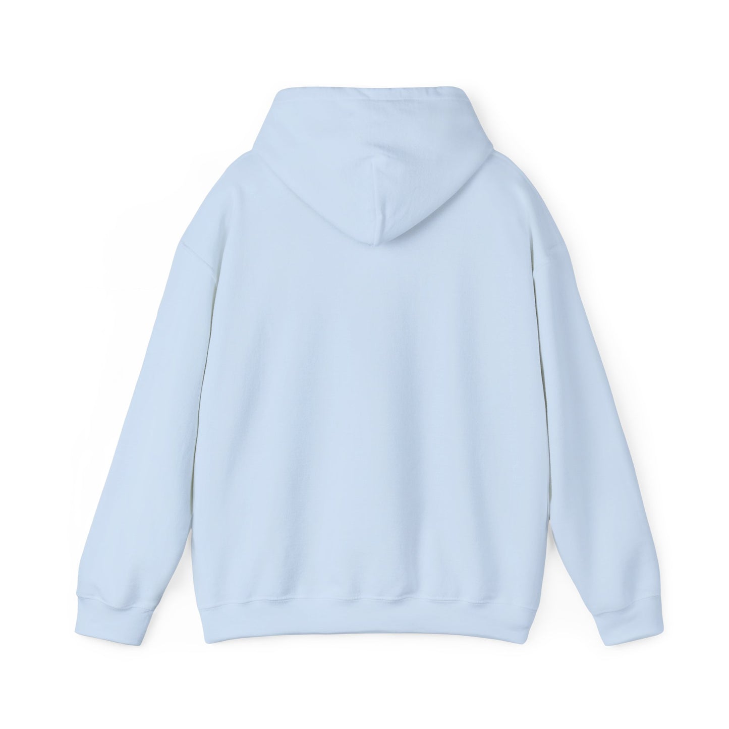 I Ride a Mare Hooded Sweatshirt