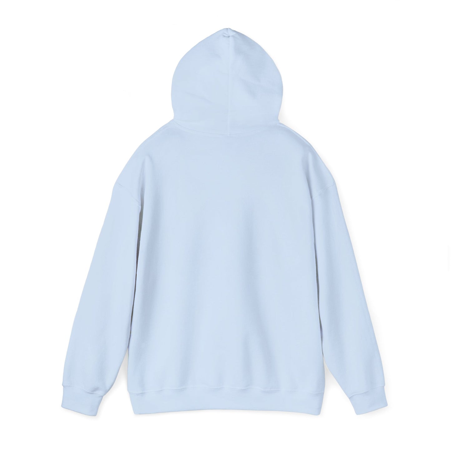 I Ride a Mare Hooded Sweatshirt