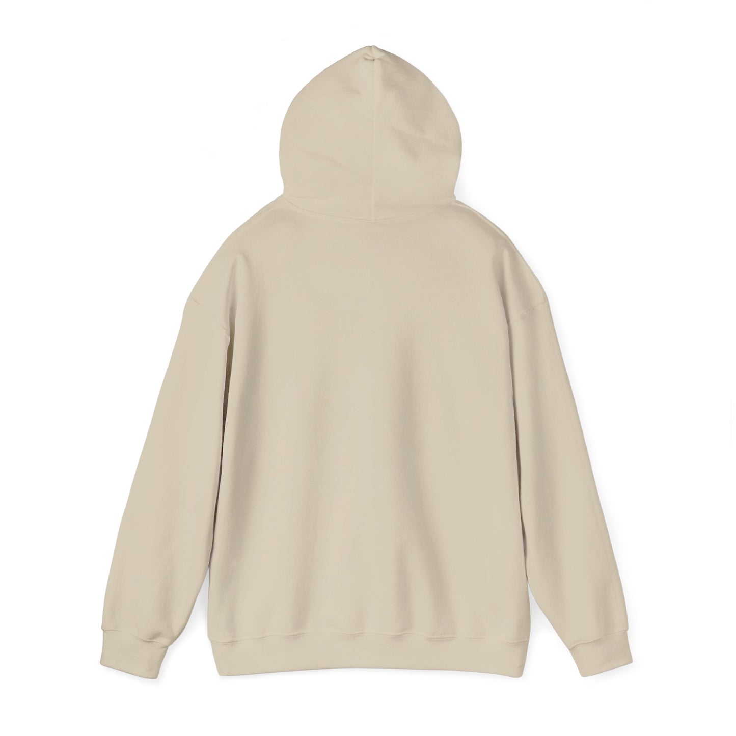 I Ride a Mare Hooded Sweatshirt