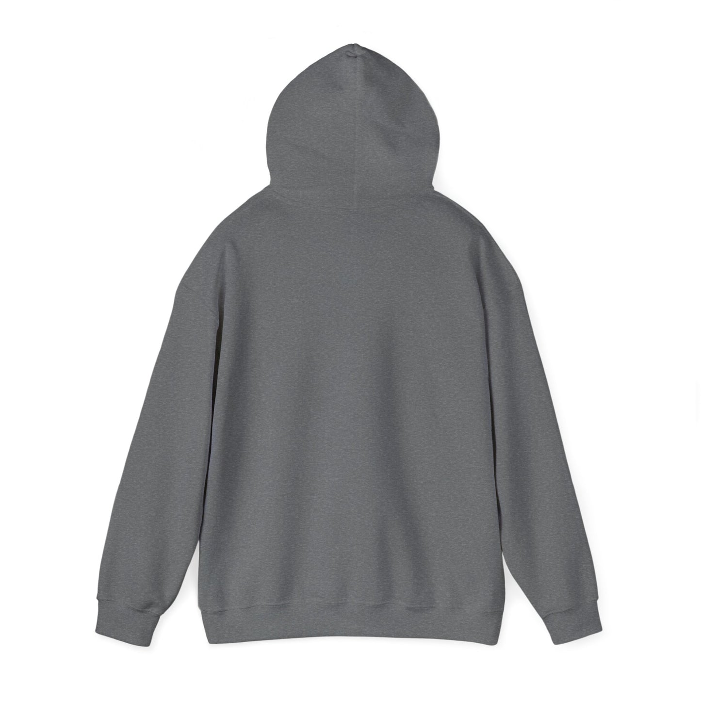 I Ride a Mare Hooded Sweatshirt