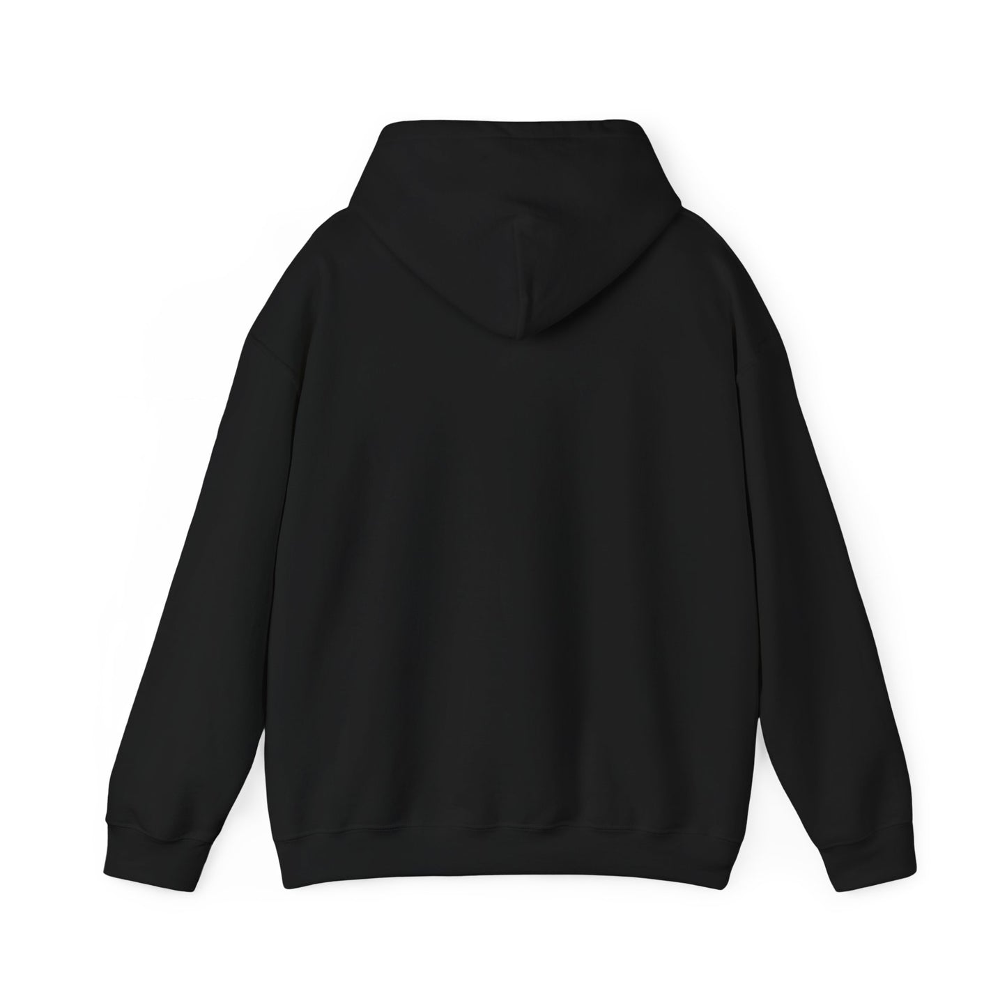 I Ride a Mare Hooded Sweatshirt