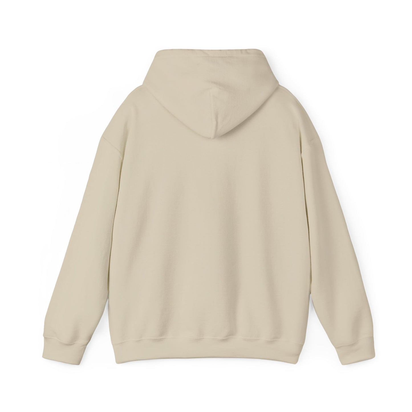 I Ride a Mare Hooded Sweatshirt