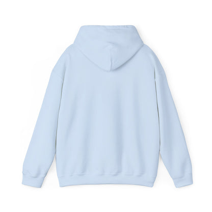 I Ride a Mare Hooded Sweatshirt