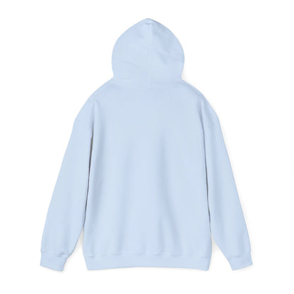 I Ride a Mare Hooded Sweatshirt