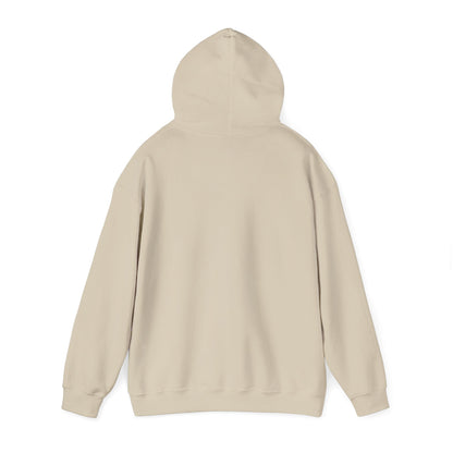I Ride a Mare Hooded Sweatshirt