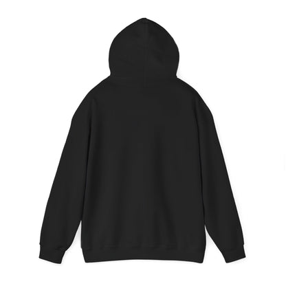 I Ride a Mare Hooded Sweatshirt