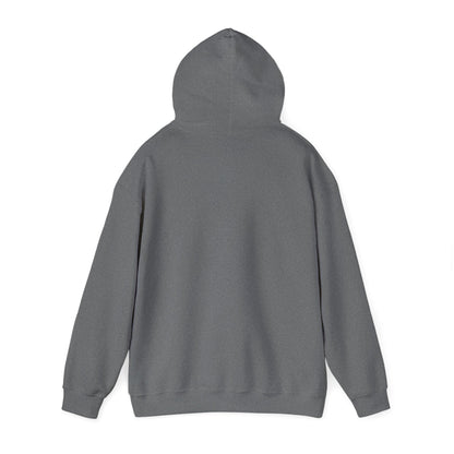 I Ride a Mare Hooded Sweatshirt