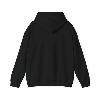 I Ride a Mare Hooded Sweatshirt